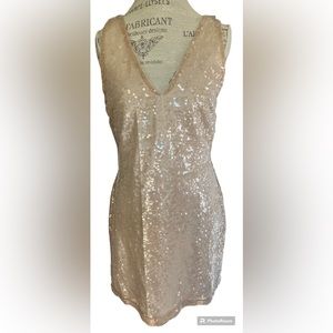 A New Day Women’s A Line Sequin Mini Dress in Champagne Cream Sz S